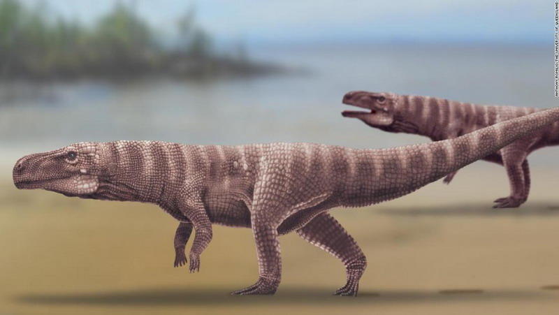Huellas “enigmáticas” revelan la existencia de cocodrilos prehistóricos que caminaban en dos patas
