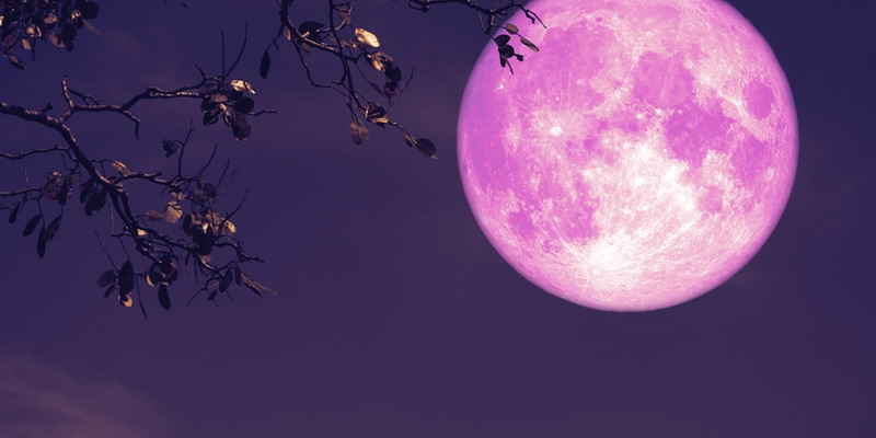 Eclipse “Luna de Fresa”: de qué se trata este fenómeno y dónde podrá verse