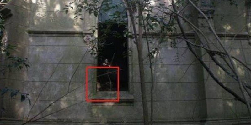 Mitos argentinos: el fantasma de una niña decapitada por un león aterroriza a un pequeño pueblo