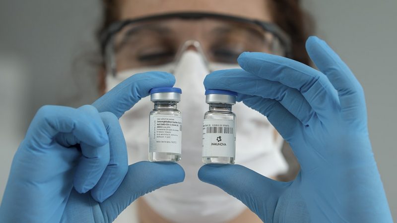Investigadores argentinos neutralizan el coronavirus en laboratorio con suero de caballos