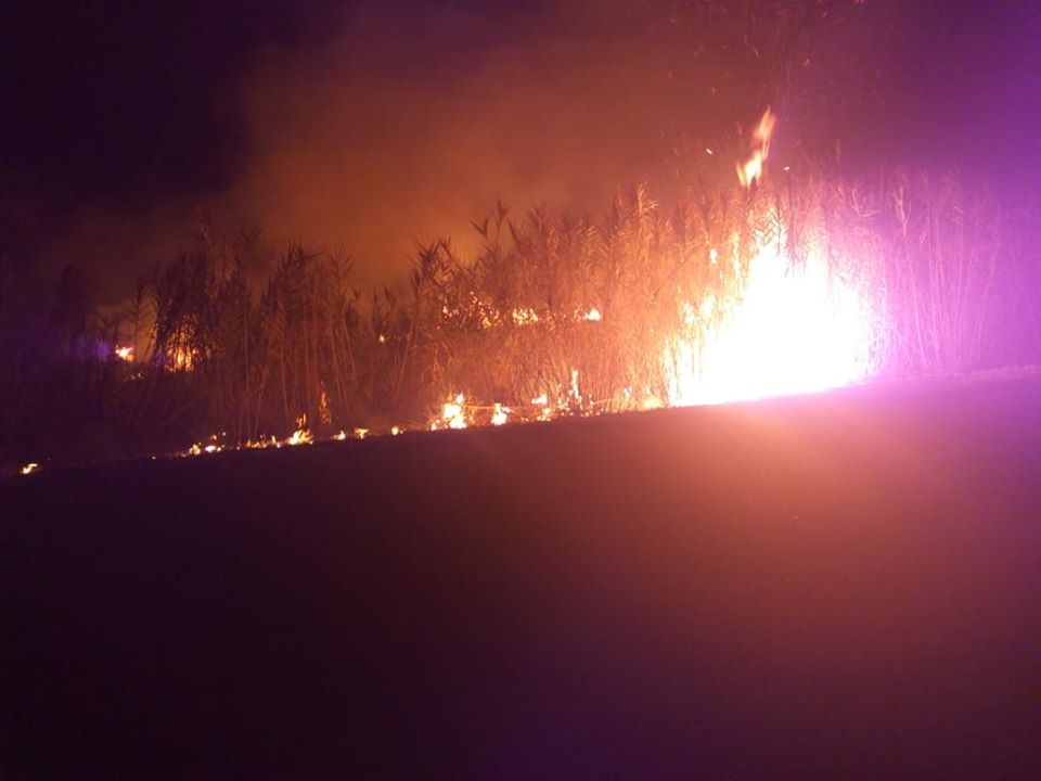Gran incendio de malezas en Bowen