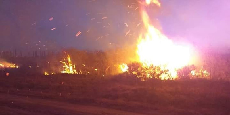 Bomberos de Bowen sofocaron un nuevo incendio de malezas