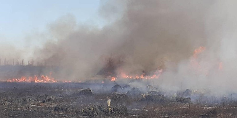 Bomberos Voluntarios trabajaron para sofocar un incendio de malezas