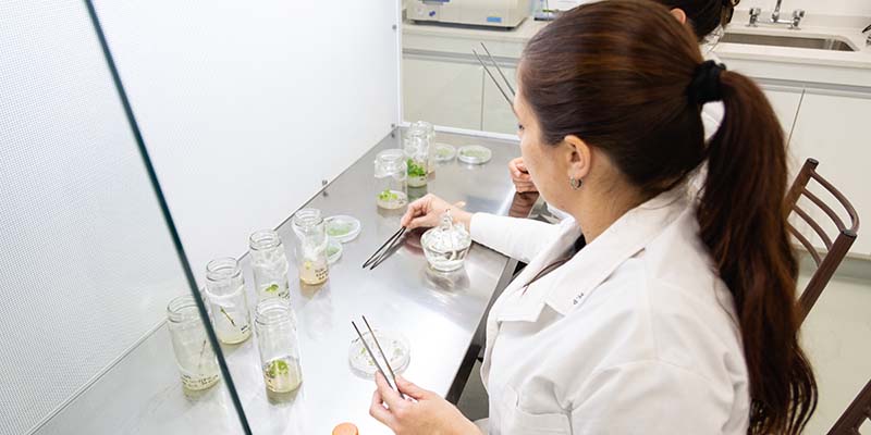 Se escapó una bacteria de un laboratorio en China y ya hay más de 3.000 enfermos
