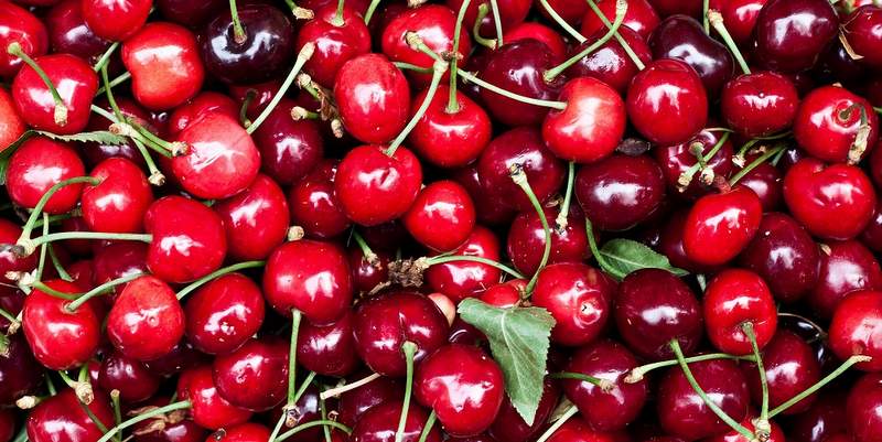 Buscan crear un fondo público-privado para potenciar la producción de cereza