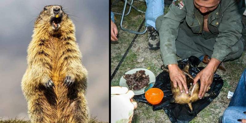 Peste bubónica: “Cuarentena indefinida” en un distrito de Mongolia