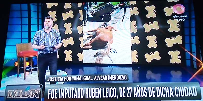 La televisión nacional se hizo eco del terrible caso de Yuma
