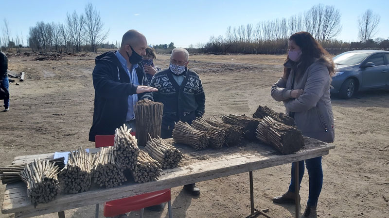 Continúa la entrega de estacas