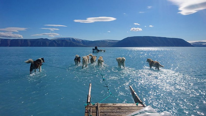 Groenlandia registró una pérdida récord de capa de hielo en 2019: 1 millón de toneladas por minuto