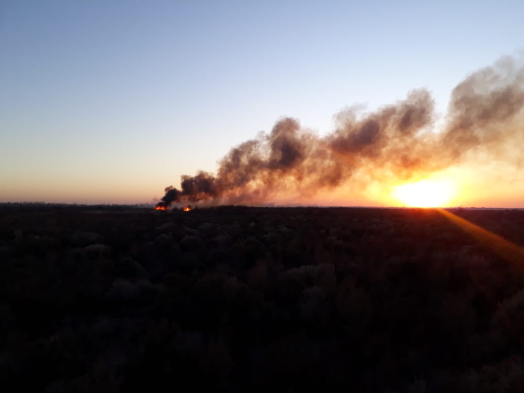 Desconocidos provocaron un incendio en la Reserva El Trapal