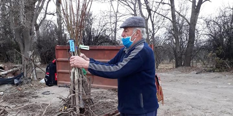 Los productores pueden inscribirse para recibir estacas para cortinas forestales