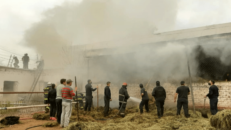 Incendio en las caballerizas de la Policía de Mendoza