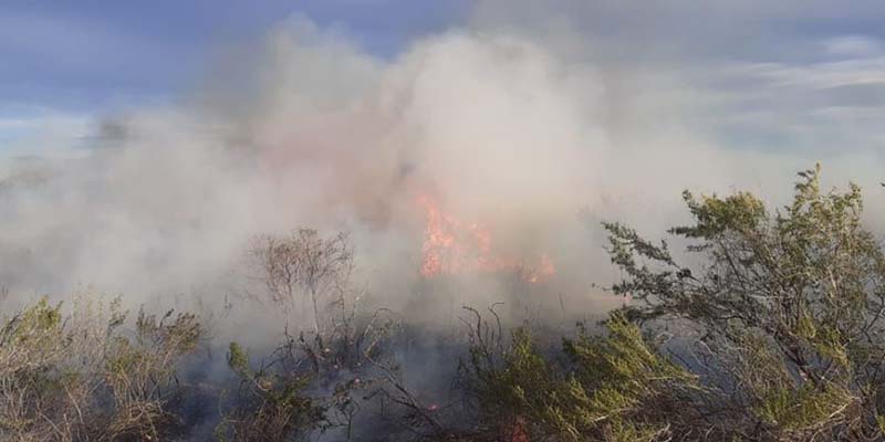 Un fin de semana con numerosos incendios en la región