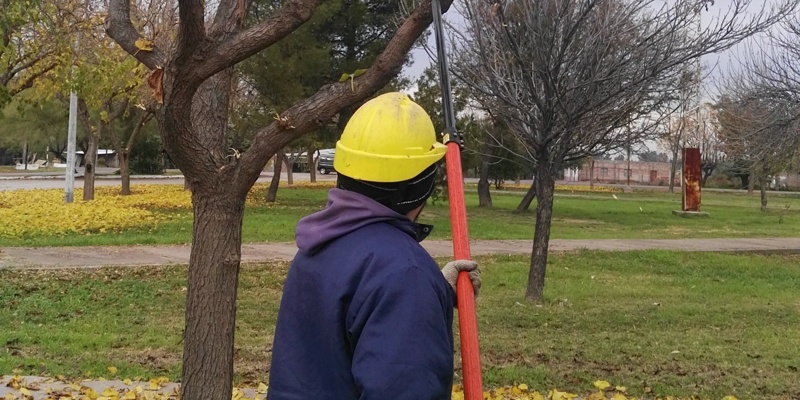 Servicios públicos realiza distintos servicios
