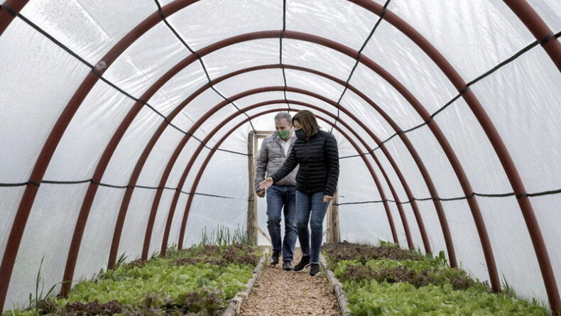 Construyen invernaderos solidarios que promuevan la soberanía alimentaria
