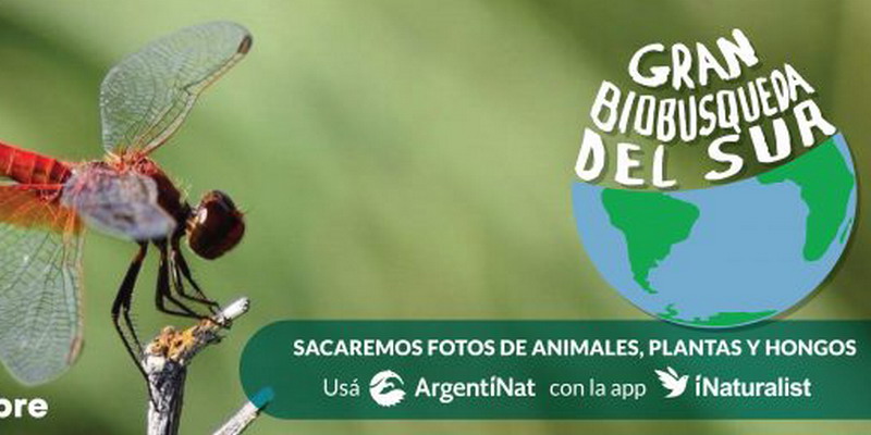 Invitan a participar en la Gran Biobúsqueda del Sur