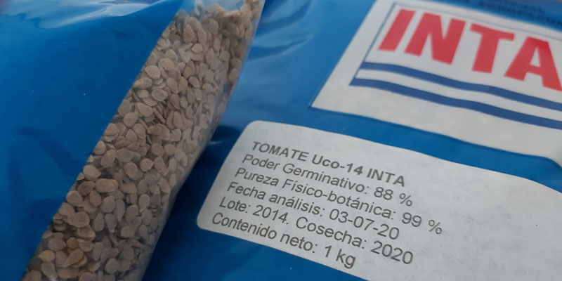 Entregaron semillas de tomate a productores locales
