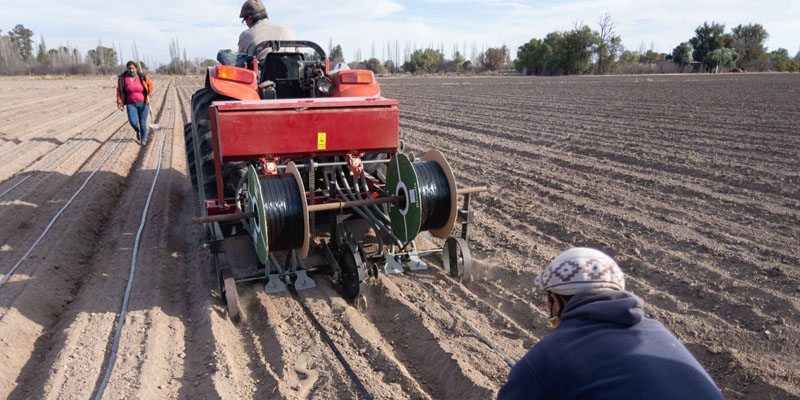 Se realizó un prueba piloto del Plan Hortícola Departamental