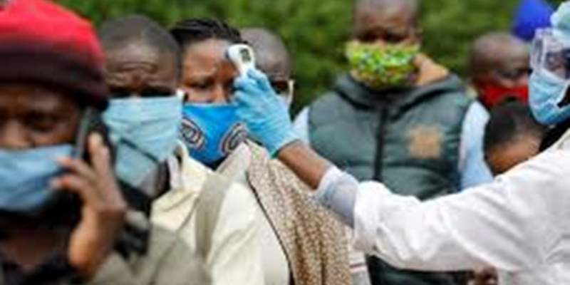La OMS respalda la investigación de remedios naturales contra el coronavirus en África