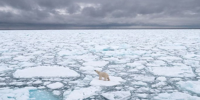 Calentamiento global: el casquete polar ártico alcanzó su segundo nivel más bajo desde que hay registro
