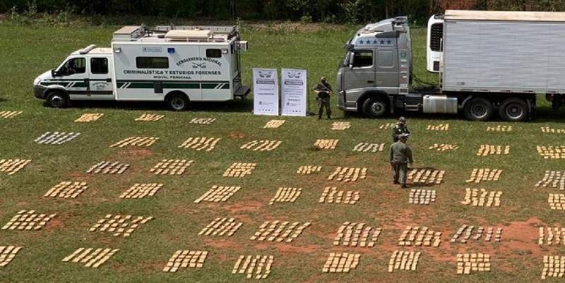 Gendarmería secuestró 9 toneladas de marihuana en un camión que llevaba pollos