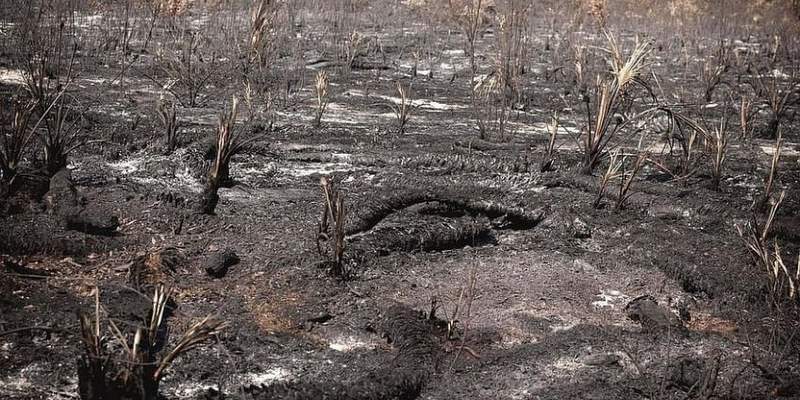 Fuerte reclamo por el cambio climático: “El mundo está ardiendo”