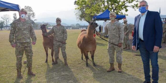 “Tecnología de punta”: Argentina refuerza su ejército con 20 llamas para carga y estallaron las redes