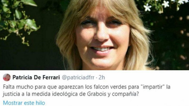 Diputada de Juntos por el Cambio pidió “falcon verdes” para Grabois
