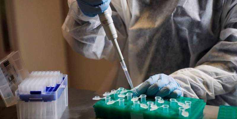 Coronavirus: esperan aprobar la vacuna de Oxford antes de fin de año