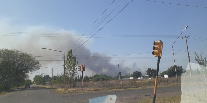Un gran incendio consumió 600 hectáreas