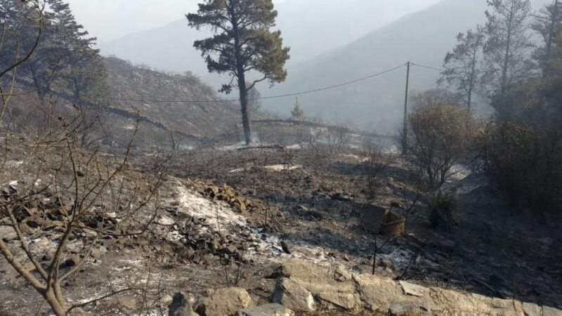 Córdoba: llovió después de cinco meses y se extinguieron todos los focos