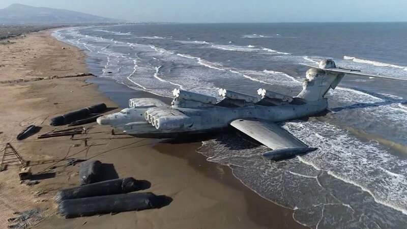 Descubrieron al “monstruo de Caspio” en una playa salvaje de Rusia