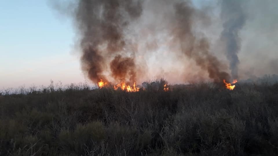 Distintos focos de incendio se registraron en las últimas horas