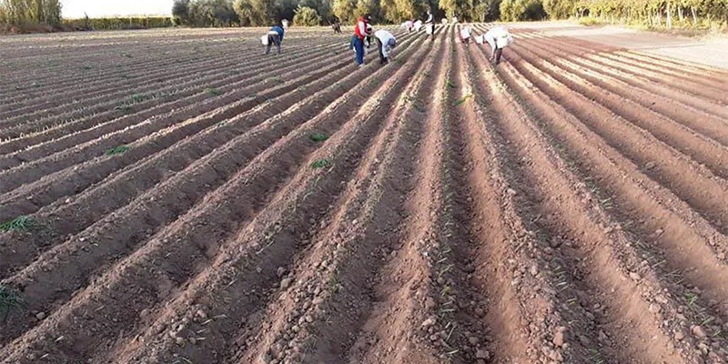 El movimiento de Grabois le respondió al empresario de Alvear