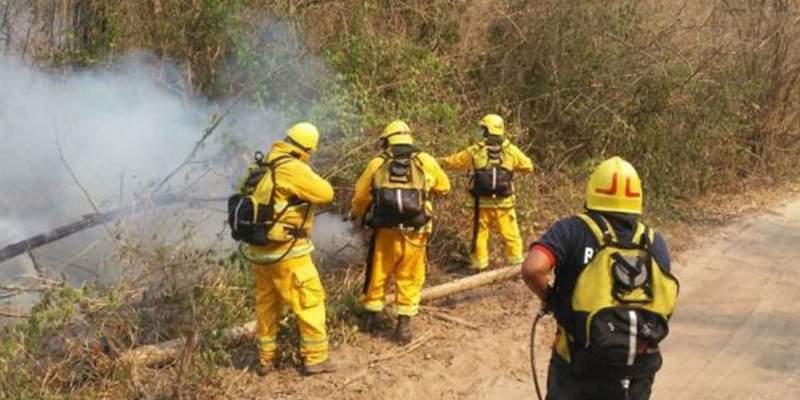 Salta: buscan sofocar más de 40 focos de incendios forestales
