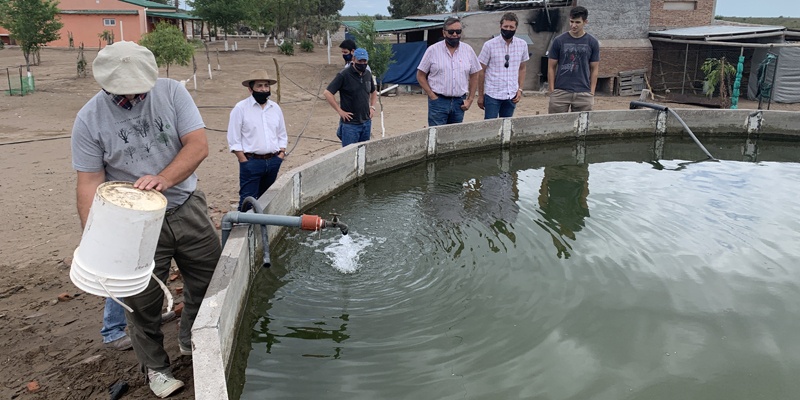 El acueducto Bowen-Canalejas ya irriga agua a unos 100 productores ganaderos del Sur mendocino