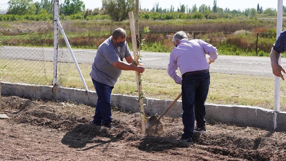 El predio ferial embellecido gracias a una gran forestación