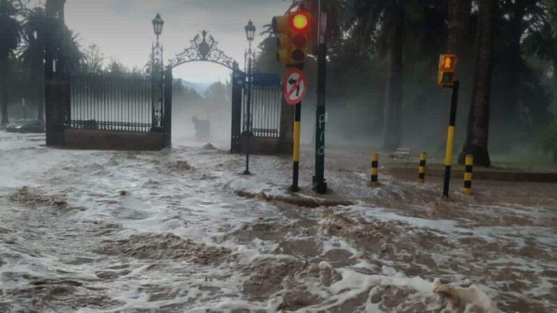 Temporal en Mendoza: Un adolescente murió y hubo anegamientos, caída de techos y árboles