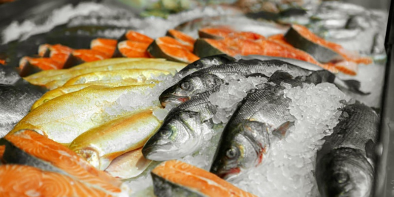 Hoy se presentará en nuestro departamento el Camión de Pescado Social
