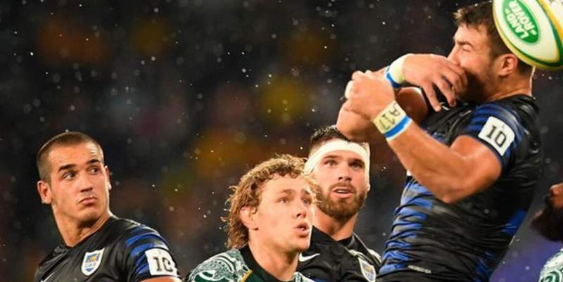 Los Pumas y otro empate frente a Australia