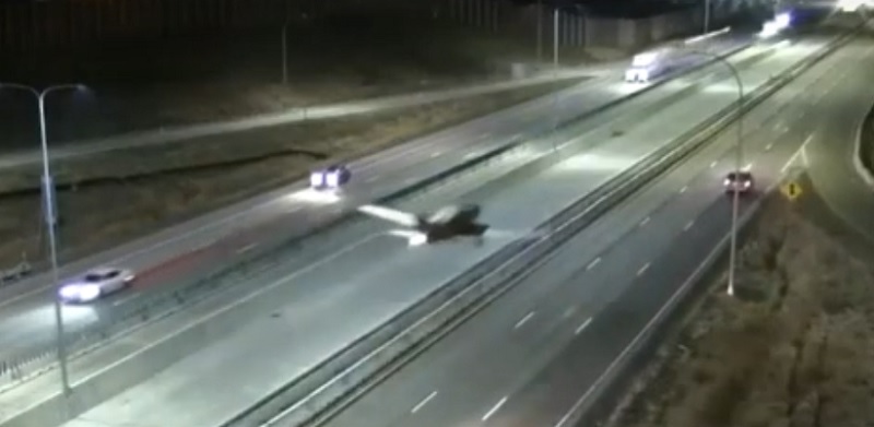 El increíble aterrizaje de una avioneta en una autopista, de noche y entre los autos