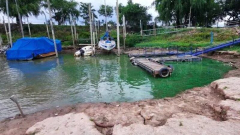 Recomiendan no ingresar a zonas del río Paraná donde se detecten manchas verdes