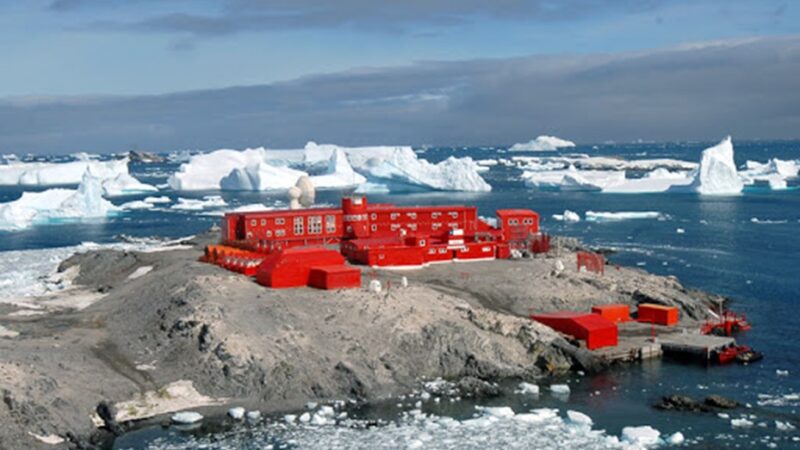 En la Antártida producirán lechuga, perejil, rúcula, albahaca y acelga