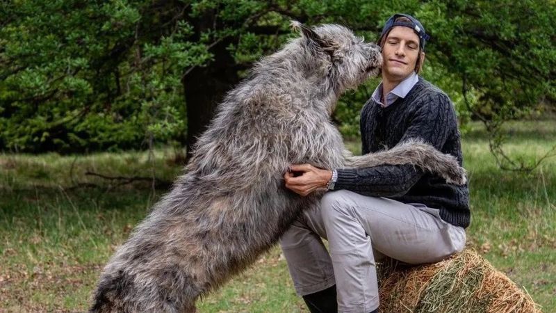 Iván de Pineda presentó a su gigantesco perro Mervyn