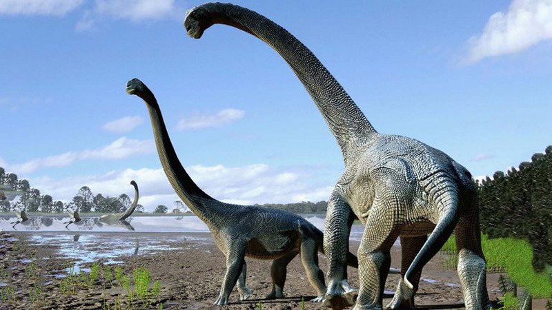 Descubrieron restos fósiles de una nueva especie de dinosaurio en Argentina que podría ser “el más grande de la historia”
