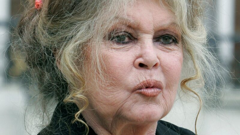Polémicos dichos de Brigitte Bardot sobre el coronavirus: “Es bueno porque autorregula la superbolación”