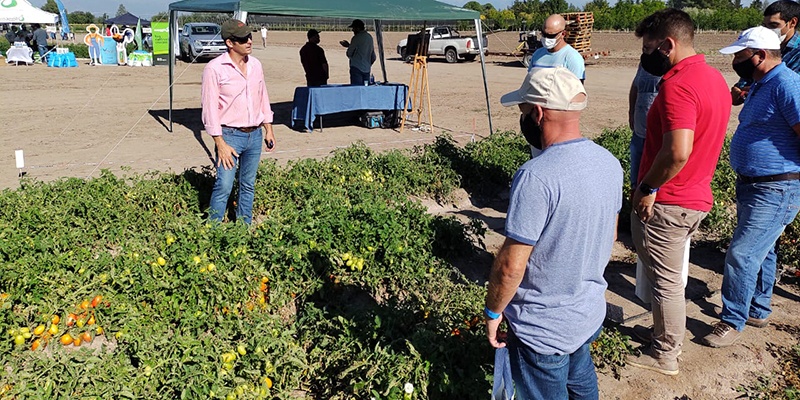 El Director de Agricultura Agustín Anzorena se refirió al Seguro Agrícola y también al Programa de Plantines de Tomate.