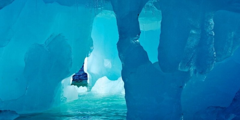 Encontraron extrañas criaturas a 900 metros bajo el hielo antártico
