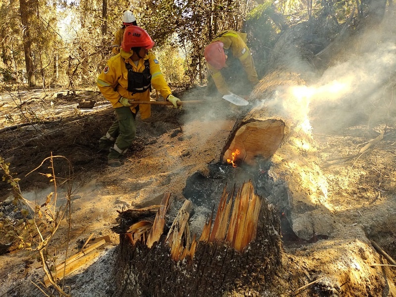 Los Brigadistas del Plan Provincial de manejo del Fuego realizan intensas tareas para combatir el incendio de El Bolsón