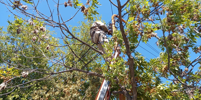 Fibra Óptica al Hogar, la forma más rápida de navegar, ya está en Alvear